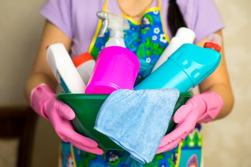 Inspection of upholstery and carpet cleaning issue documentation
