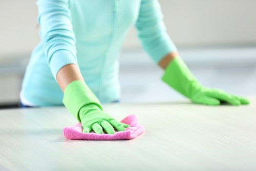 Image representing cookie categories on a cleaning services website