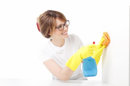 Reviewing details of a carpet cleaning service concern