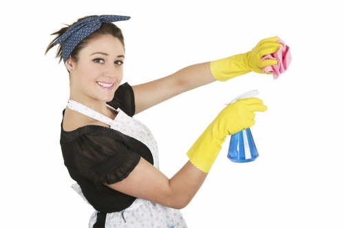 Team member assessing a carpet cleaning complaint resolution